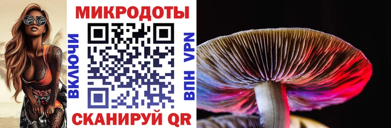 Галлюциногенные грибы ЛСД  Заполярный 