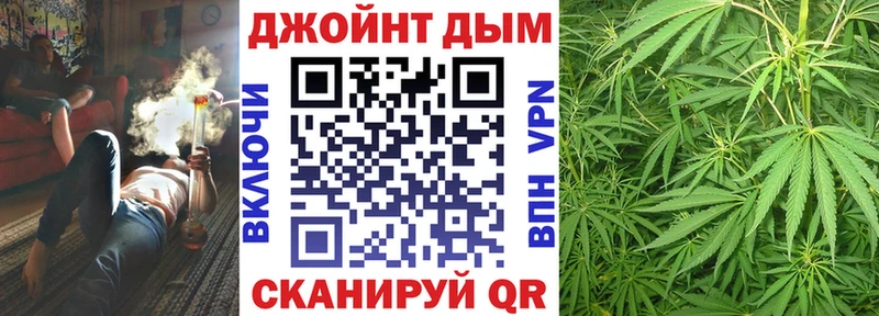 Канабис сатива  Заполярный 
